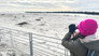 Auf der Insel der Kegelrobben
