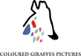 Coloured Giraffes Coloured Giraffes
