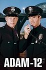 Adam-12 Episode Rating Graph poster