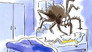 Swallowing Spiders in your Sleep