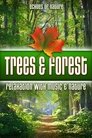 Plakat for 'Trees & Forest: Echoes of Nature Relaxation with Music & Nature'