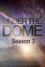 Under the Dome