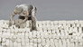 Limestone