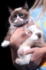 Tardar Sauce isGrumpy Cat