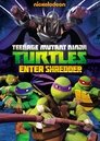 Teenage Mutant Ninja Turtles: Enter Shredder poster