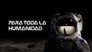 2019 - For All Mankind thumb