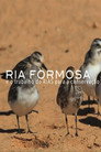 Ria Formosa e o Trabalho do RIAS para a Conservação