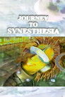 Journey to Synesthesia