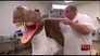 Paleontology & Popping the Question