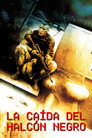 La caída del halcón negro