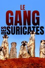 Le gang des suricates (2021) - Affiche