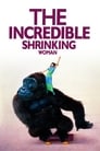 The Incredible Shrinking Woman poster