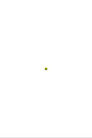 The Tennis Ball