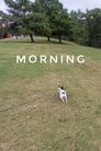 Morning