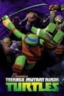 Teenage Mutant Ninja Turtles Episode Rating Graph poster