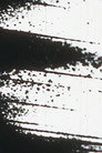 Starlings