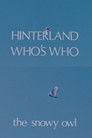 Hinterland Who's Who: The Snowy Owl