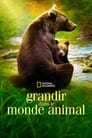 Grandir dans le monde animal