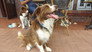 Crafty Canines