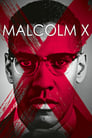 Poster for Malcolm X