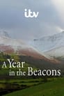 A Year in the Beacons