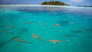 Shark Island