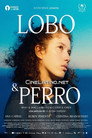 Lobo y Perro [FHD] Castellano