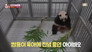 TV Animal Farm 1x1134