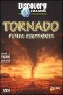 Storm forces tornadoes