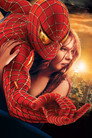 El hombre araña 2