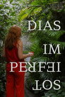 Dias Imperfeitos