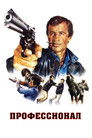 Постер: Профессионал