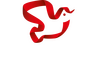 Svobodnoe Kino