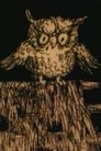Shtazë