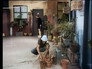 Image Chaves