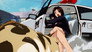 Love's Highway Stars