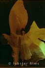 Butterfly Dances
