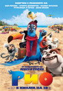 Рио (2011) Филм БГ аудио Цял цял филм онлайн безплатно
