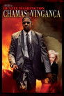 Chamas da Vingança
