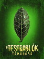 (HD). Testrablók Támadása Teljes Film Magyarul (1956) Ingyen Online