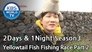 Yellowtail Fish Fishing Race (1)