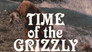 Time of the Grizzly