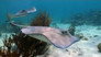 Reefs and Wrecks
