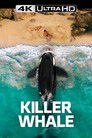 Killer Whale Voirfilms