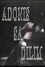 Adonis in the Dark