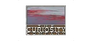 The Curiosity Company