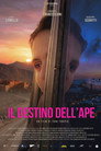 Il destino dell'ape
