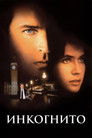 Постер: Incognito