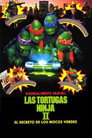 Las tortugas ninja II: El secreto de los mocos verdes