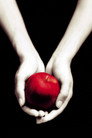 Twilight